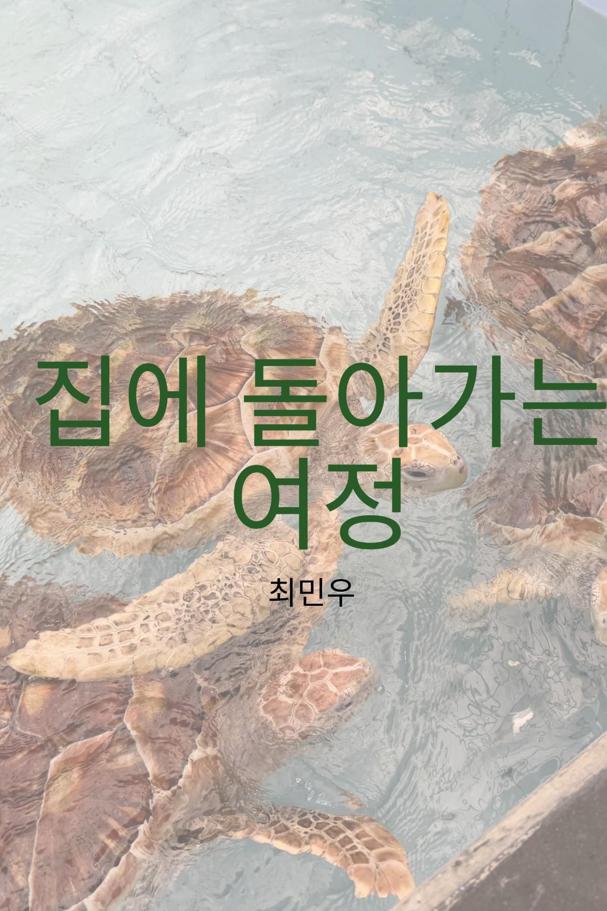 집으로 돌아가는 여정